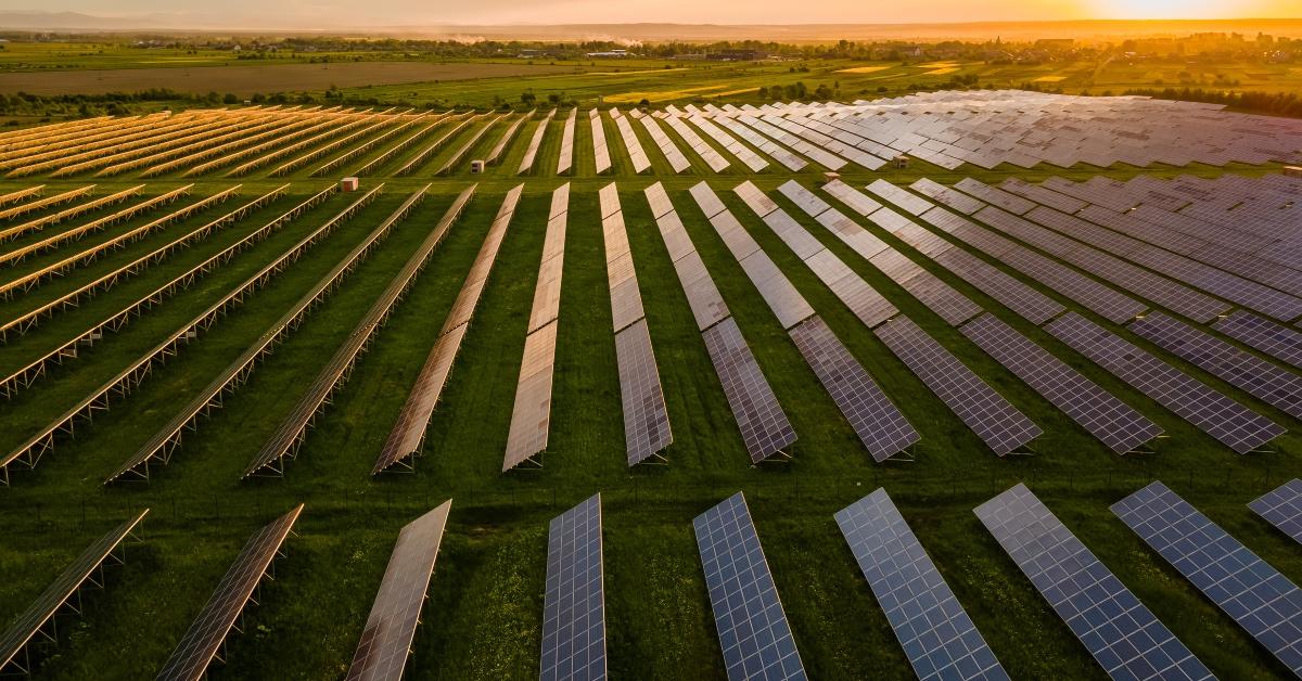 Solar panels in a field.