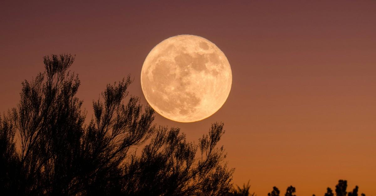 Why Is the Moon So Massive Tonight?